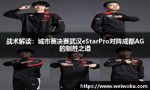 雨燕免费直播在线观看直播足球