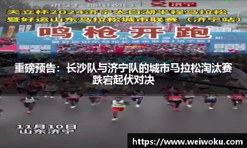 雨燕直播在线平台