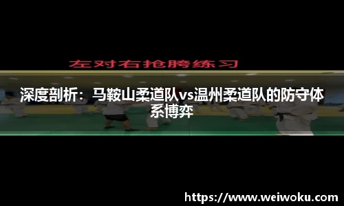 雨燕免费直播在线观看直播足球